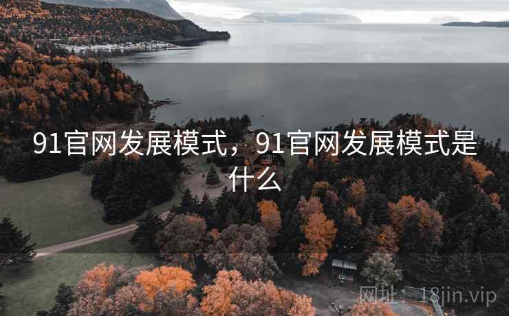 91官网发展模式，91官网发展模式是什么