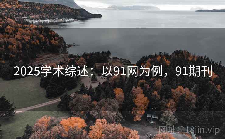 2025学术综述：以91网为例，91期刊