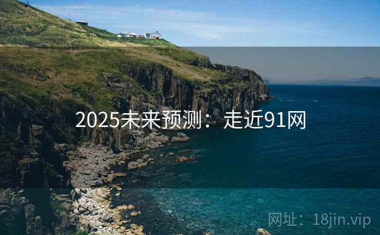 2025未来预测:走近91网