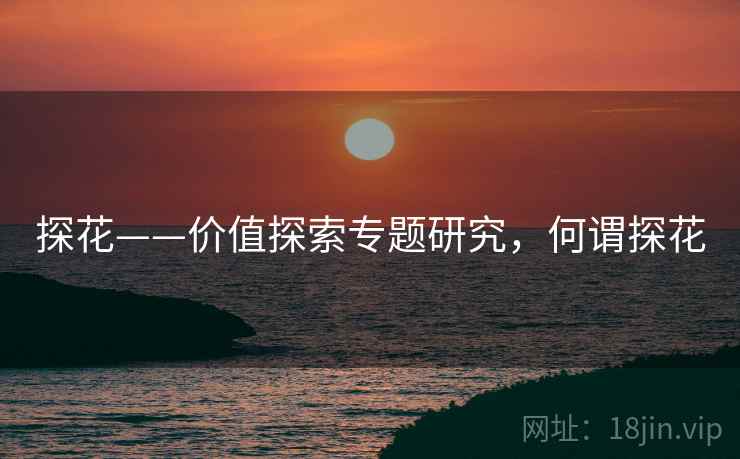 探花——价值探索专题研究,何谓探花