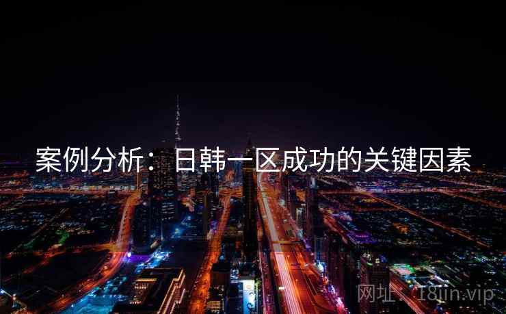 案例分析:日韩一区成功的关键因素