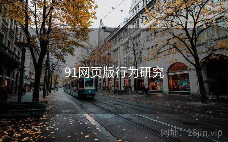 91网页版行为研究 第2张 91网页版行为研究 第2张