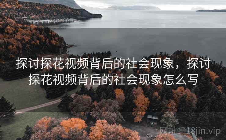 探讨探花视频背后的社会现象,探讨探花视频背后的社会现象怎么写