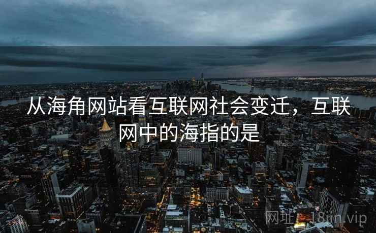 从海角网站看互联网社会变迁，互联网中的海指的是