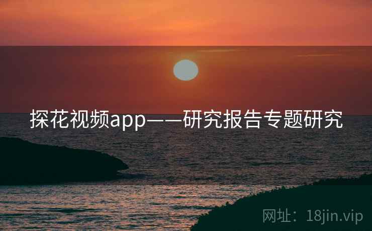 探花视频app——研究报告专题研究