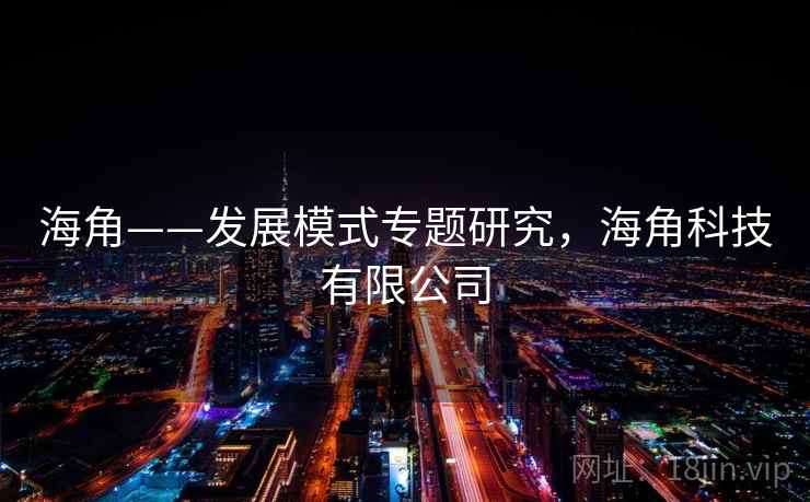 海角——发展模式专题研究,海角科技有限公司