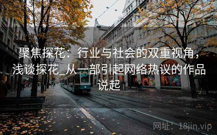 聚焦探花:行业与社会的双重视角,浅谈探花_从一部引起网络热议的作品说起