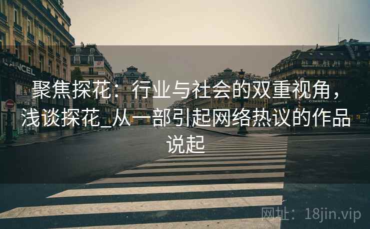 聚焦探花:行业与社会的双重视角,浅谈探花_从一部引起网络热议的作品说起