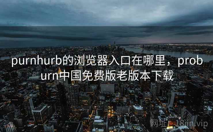purnhurb的浏览器入口在哪里,proburn中国免费版老版本下载