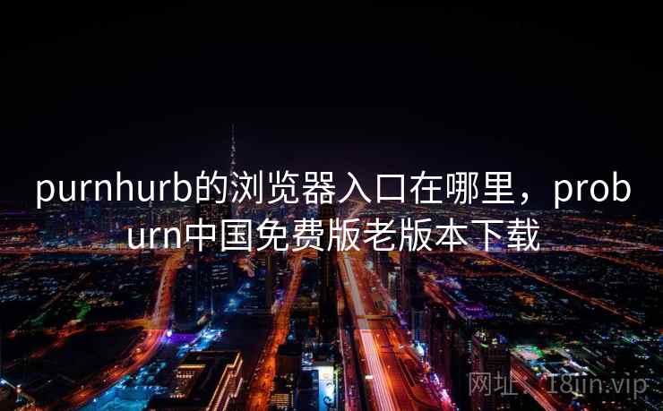purnhurb的浏览器入口在哪里,proburn中国免费版老版本下载