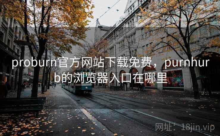 proburn官方网站下载免费,purnhurb的浏览器入口在哪里